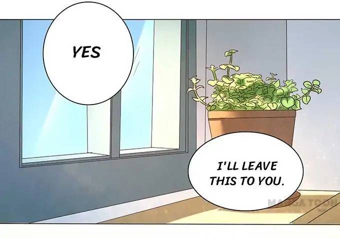 When Doctor Chu Wants Romance 14 14