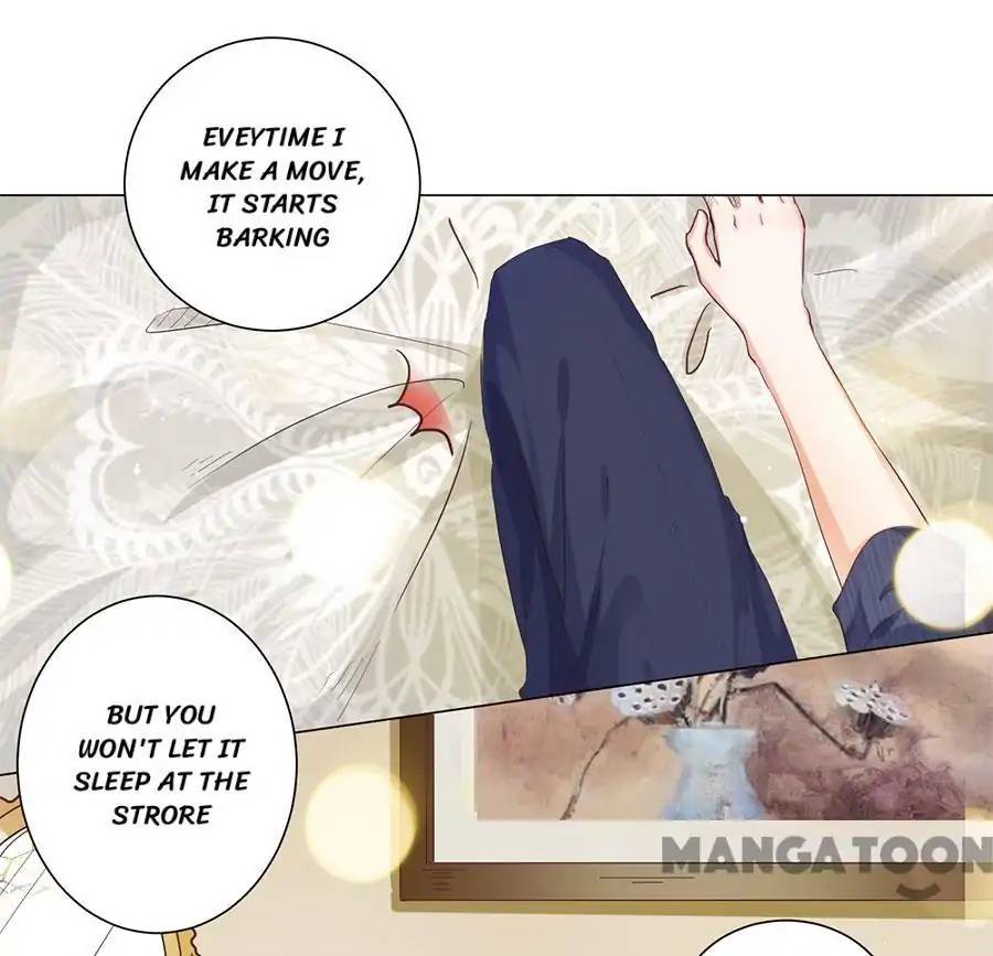 When Doctor Chu Wants Romance 160 23