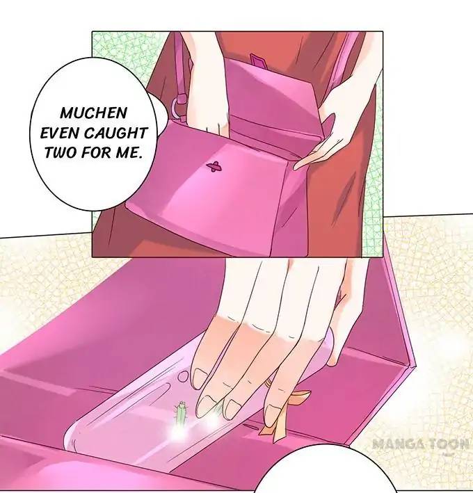 When Doctor Chu Wants Romance 17 24
