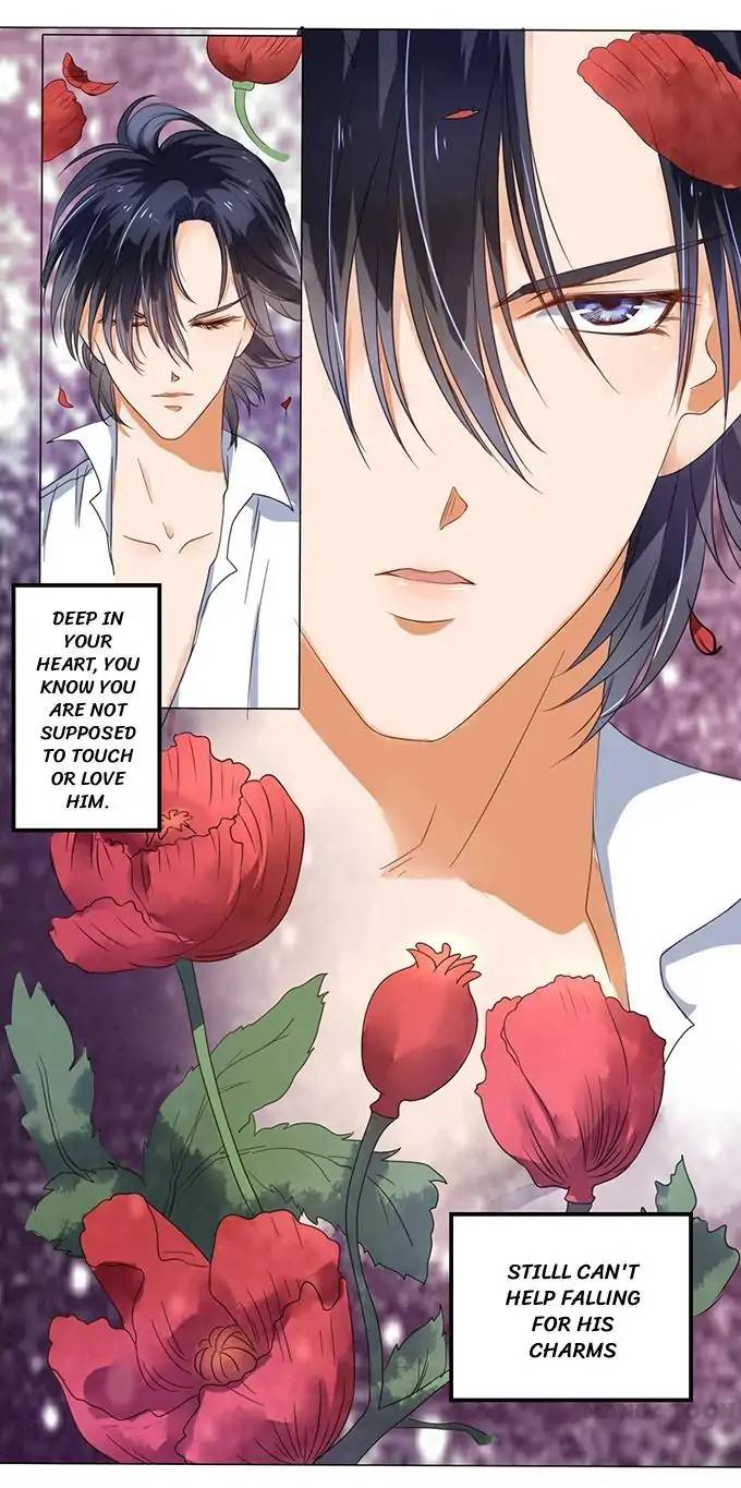 When Doctor Chu Wants Romance 4 2