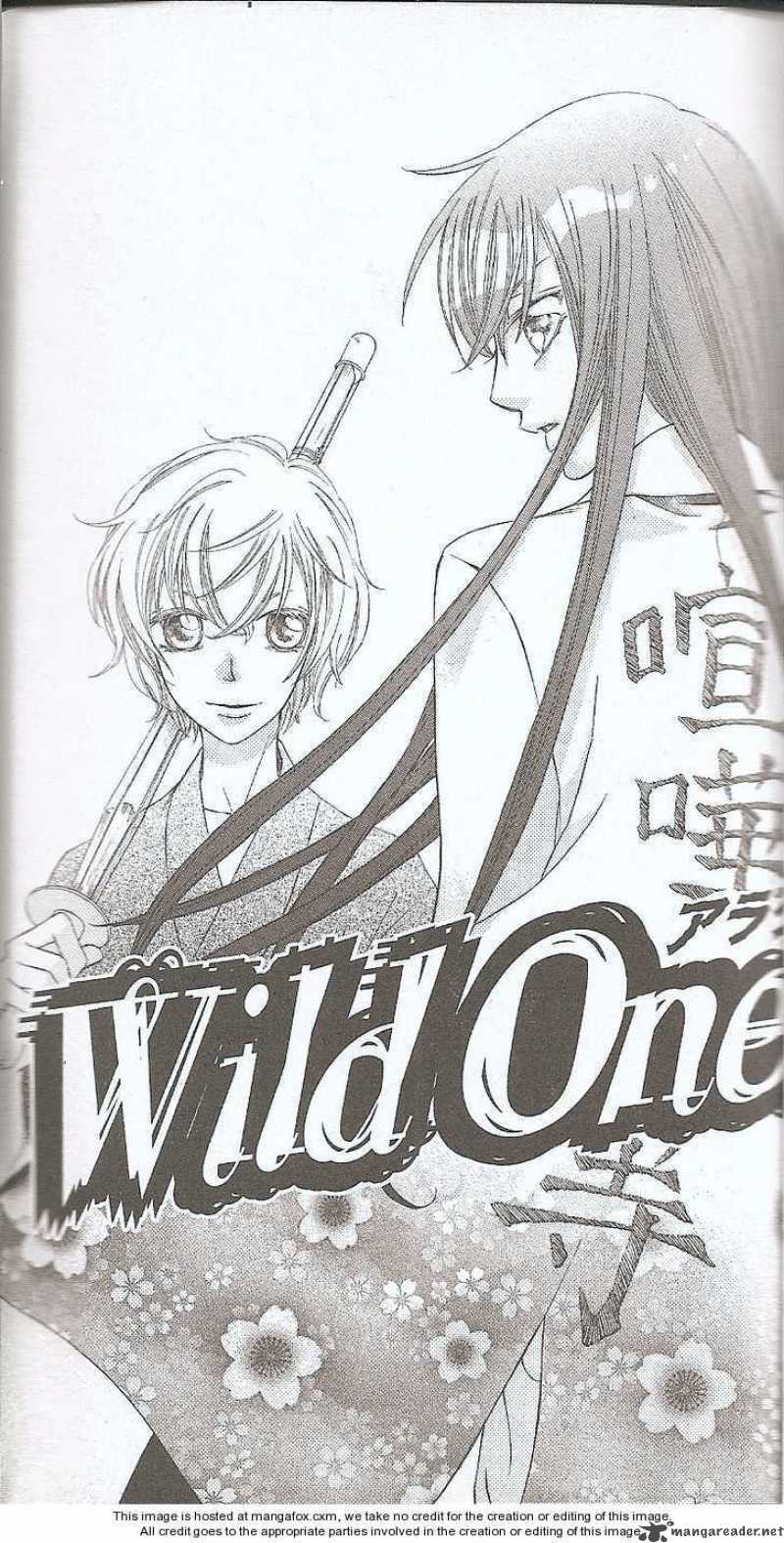 Wild Ones 29 1