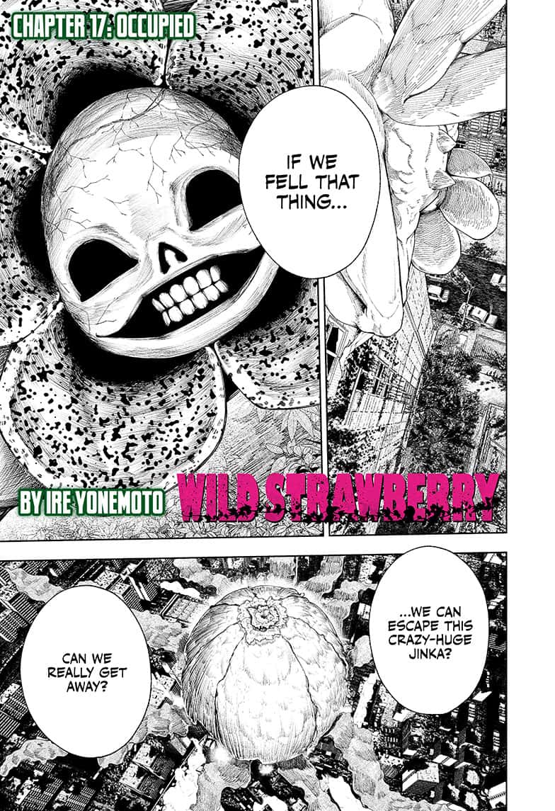 Wild Strawberry 17 1