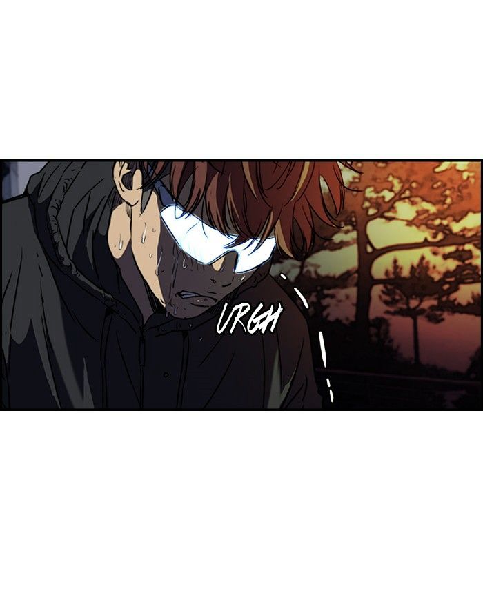 Wind Breaker 134 52