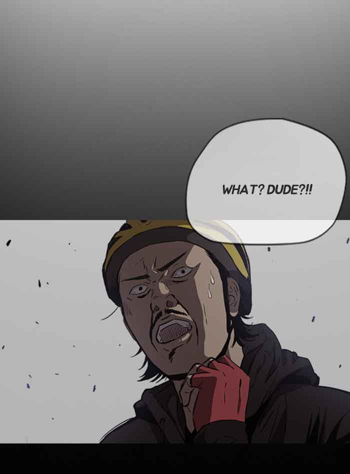 Wind Breaker 161 21