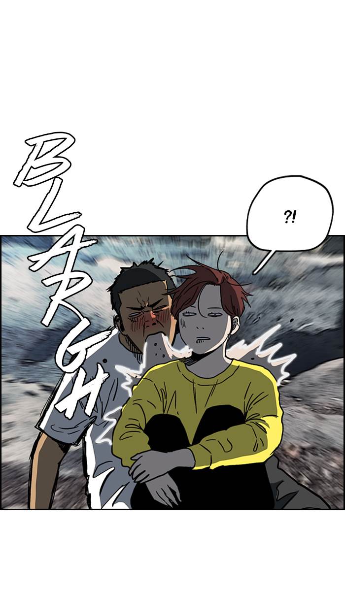 Wind Breaker 226 36