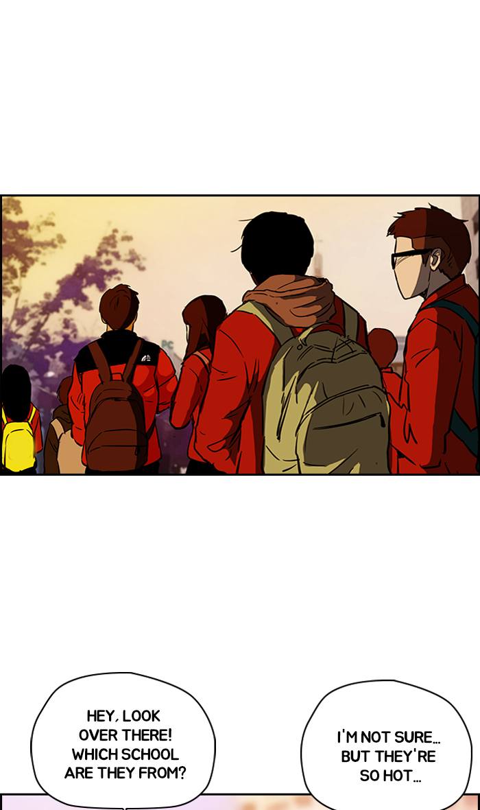 Wind Breaker 230 44