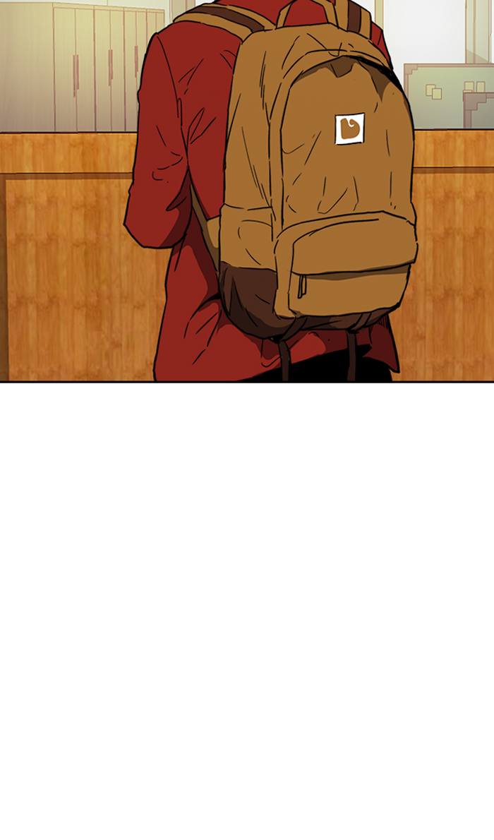 Wind Breaker 230 61