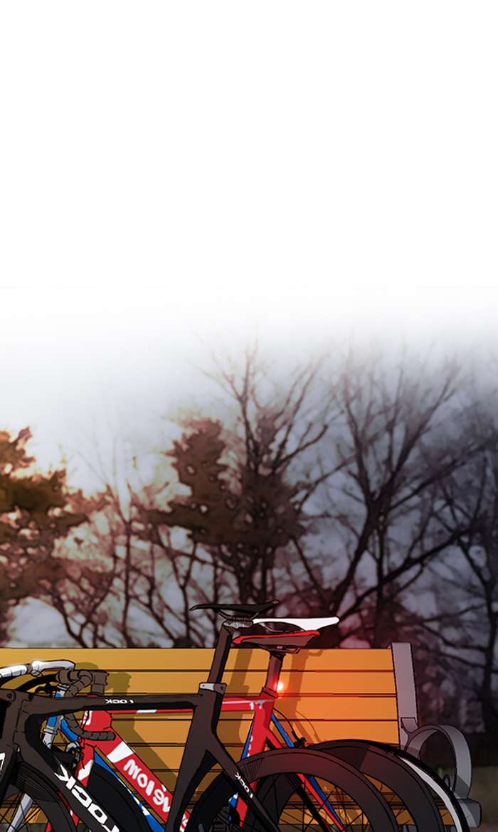 Wind Breaker 240 15