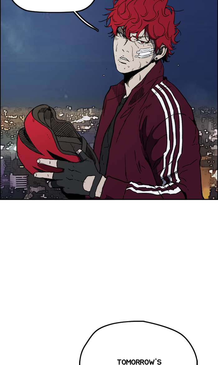 Wind Breaker 240 24