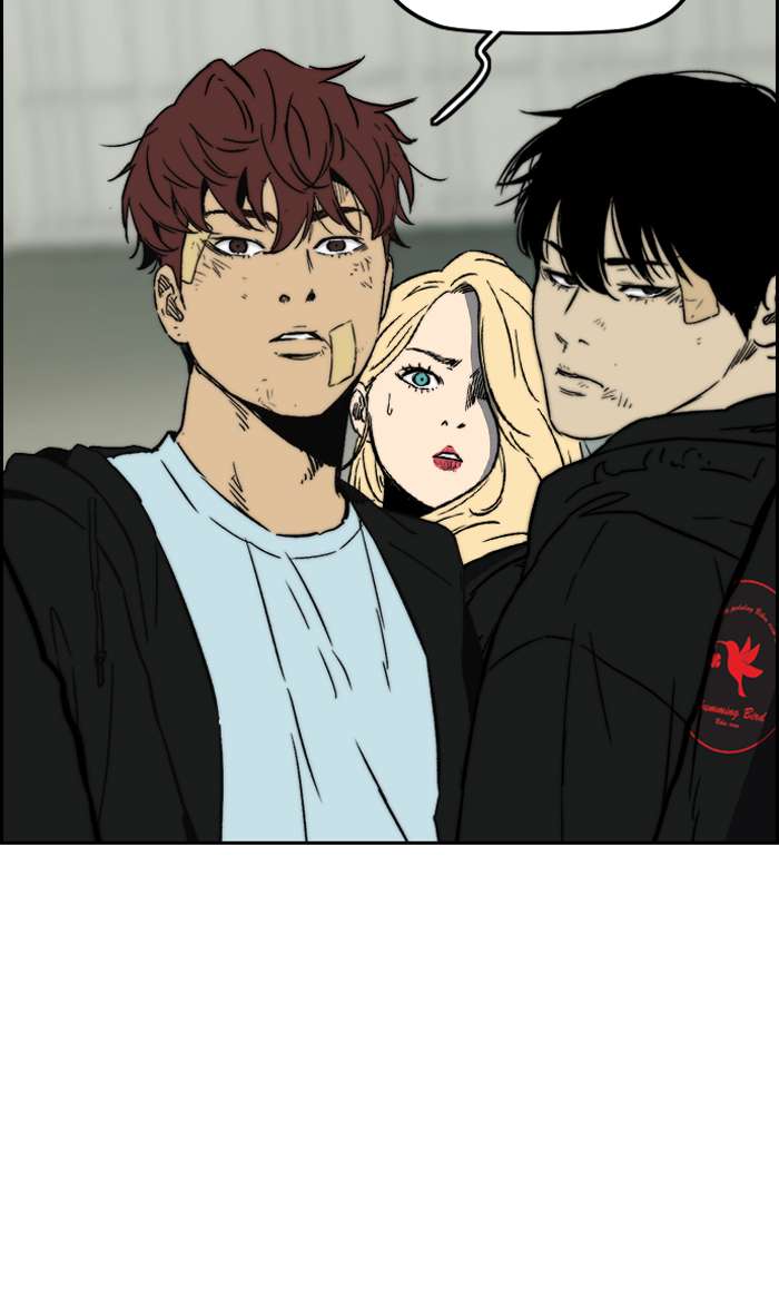 Wind Breaker 241 98