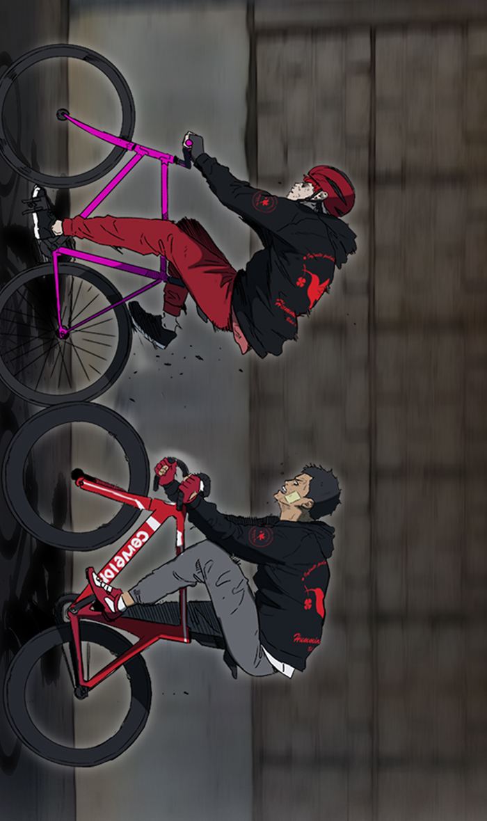 Wind Breaker 244 56