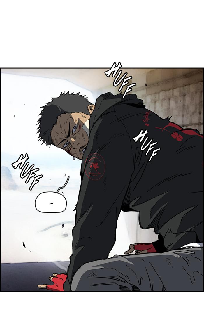 Wind Breaker 245 25