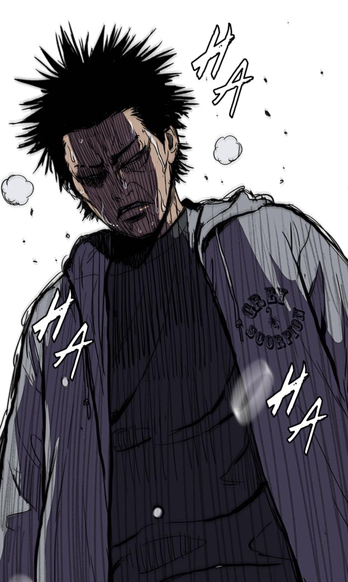 Wind Breaker 247 87