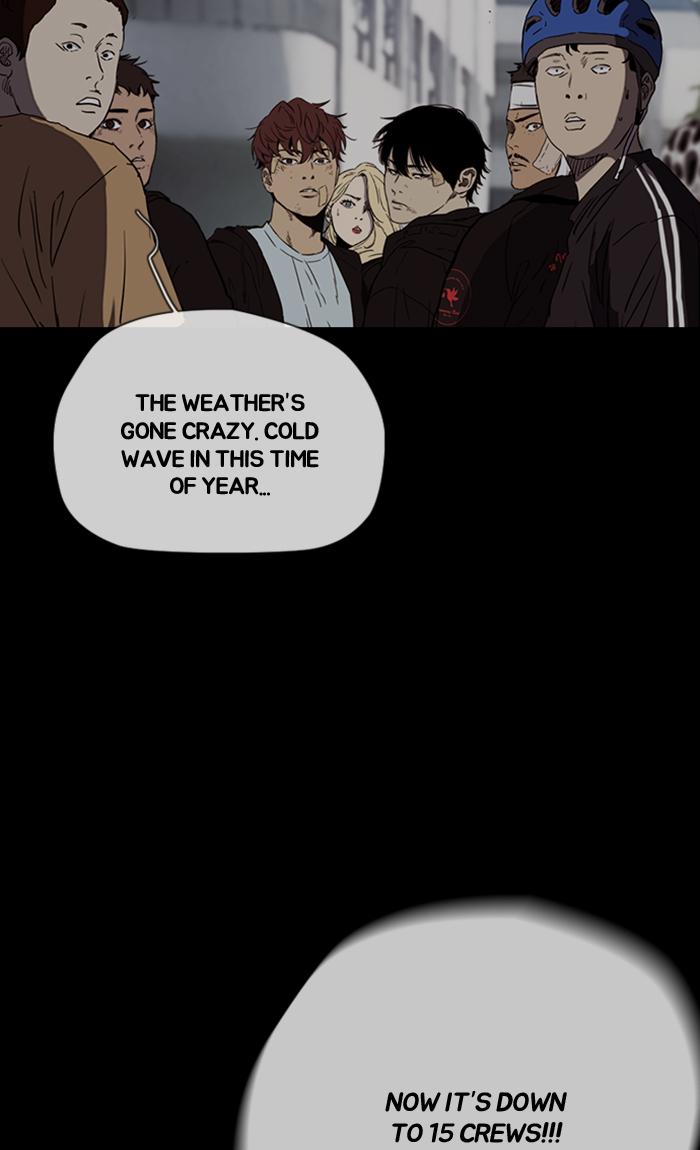 Wind Breaker 249 84