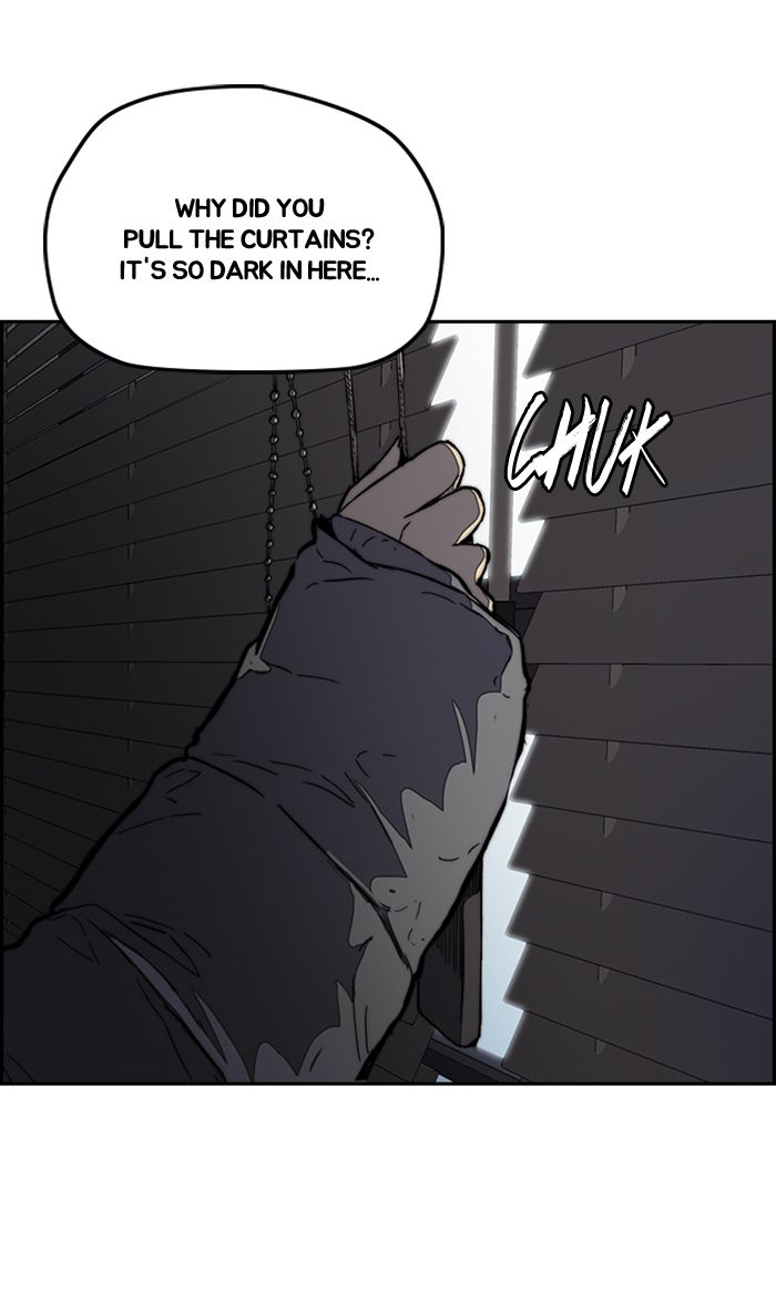 Wind Breaker 252 77