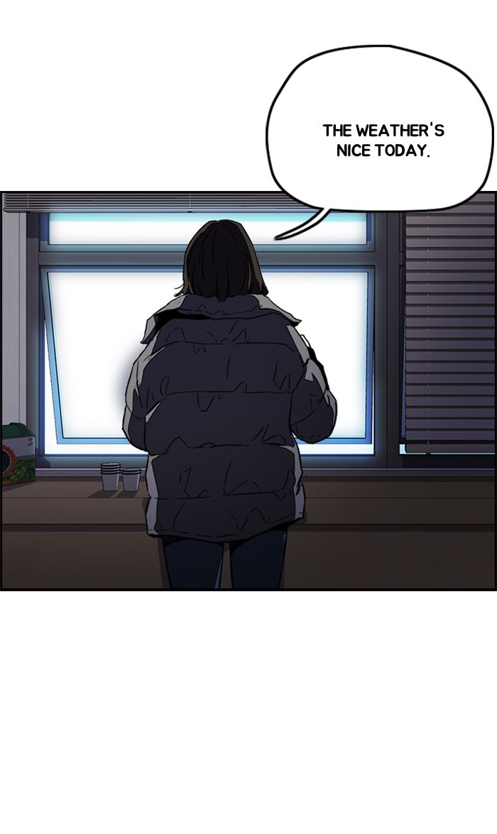 Wind Breaker 252 79