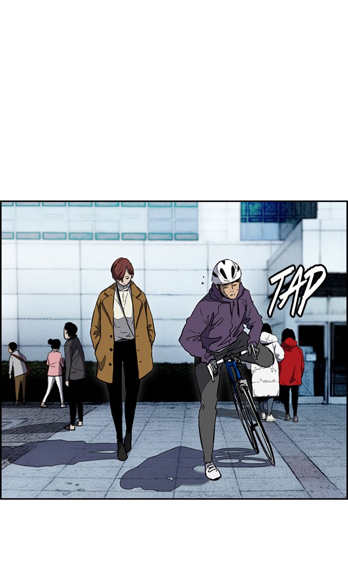 Wind Breaker 253 36
