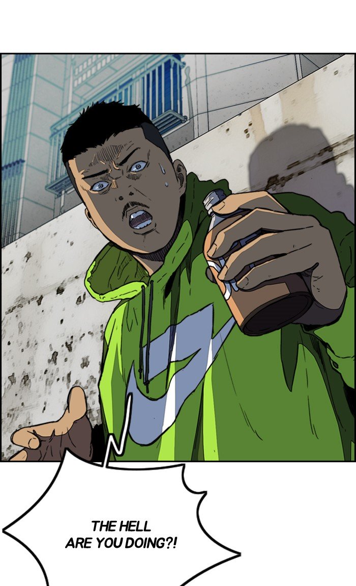 Wind Breaker 255 60