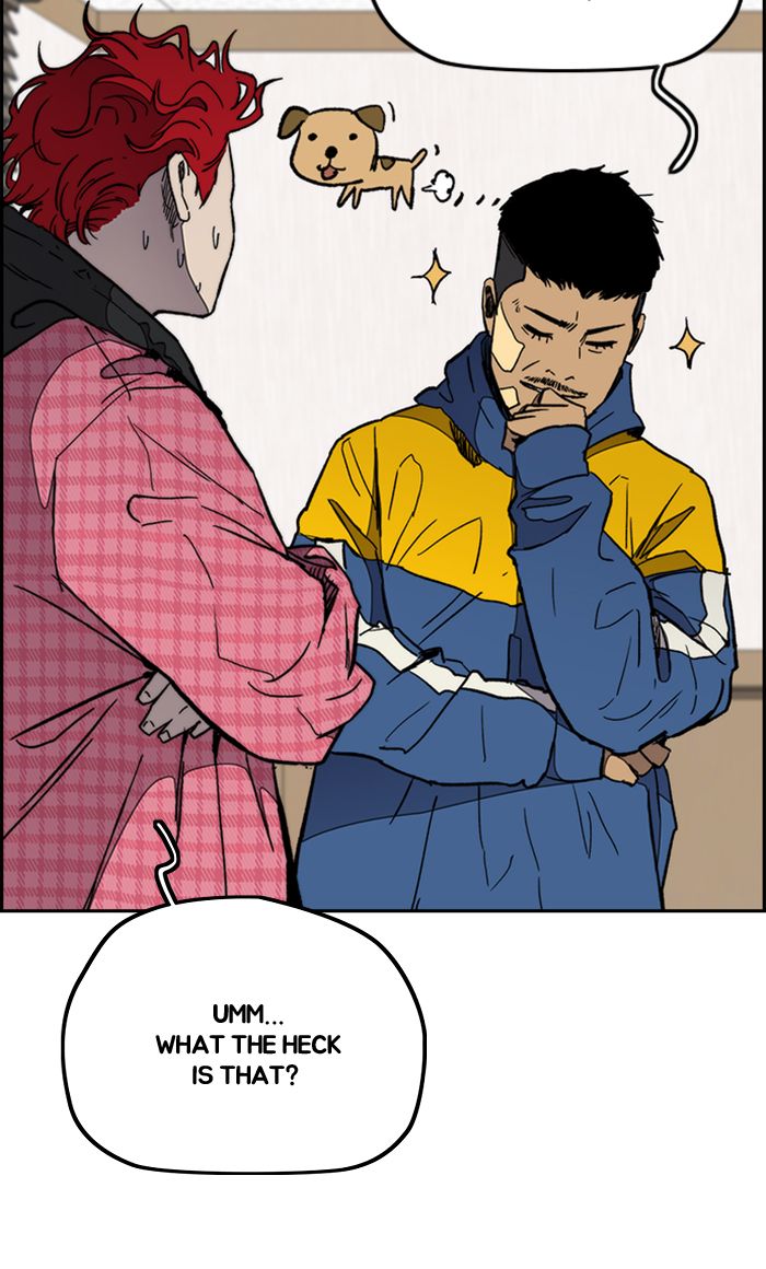 Wind Breaker 276 7