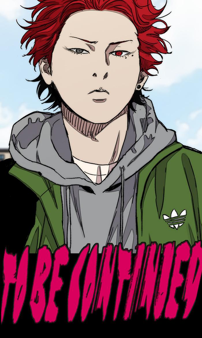 Wind Breaker 284 99