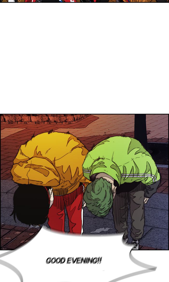 Wind Breaker 287 40