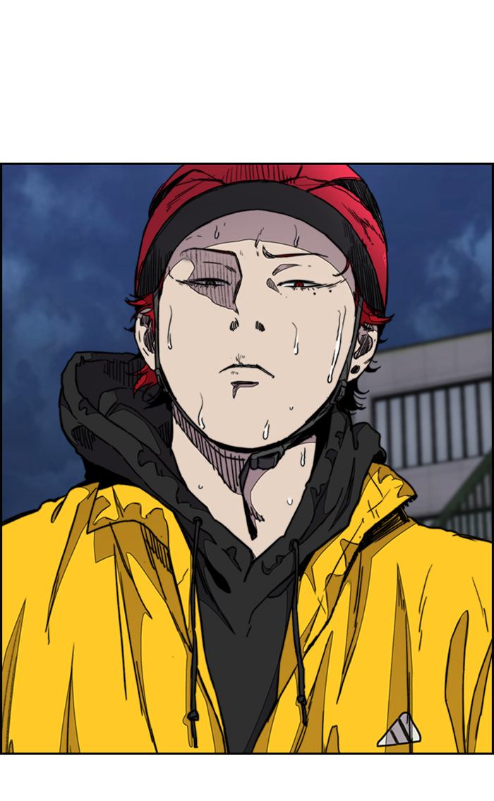 Wind Breaker 288 56