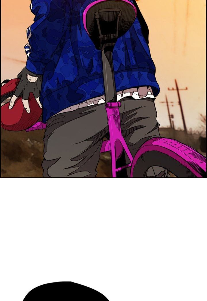 Wind Breaker 291 79