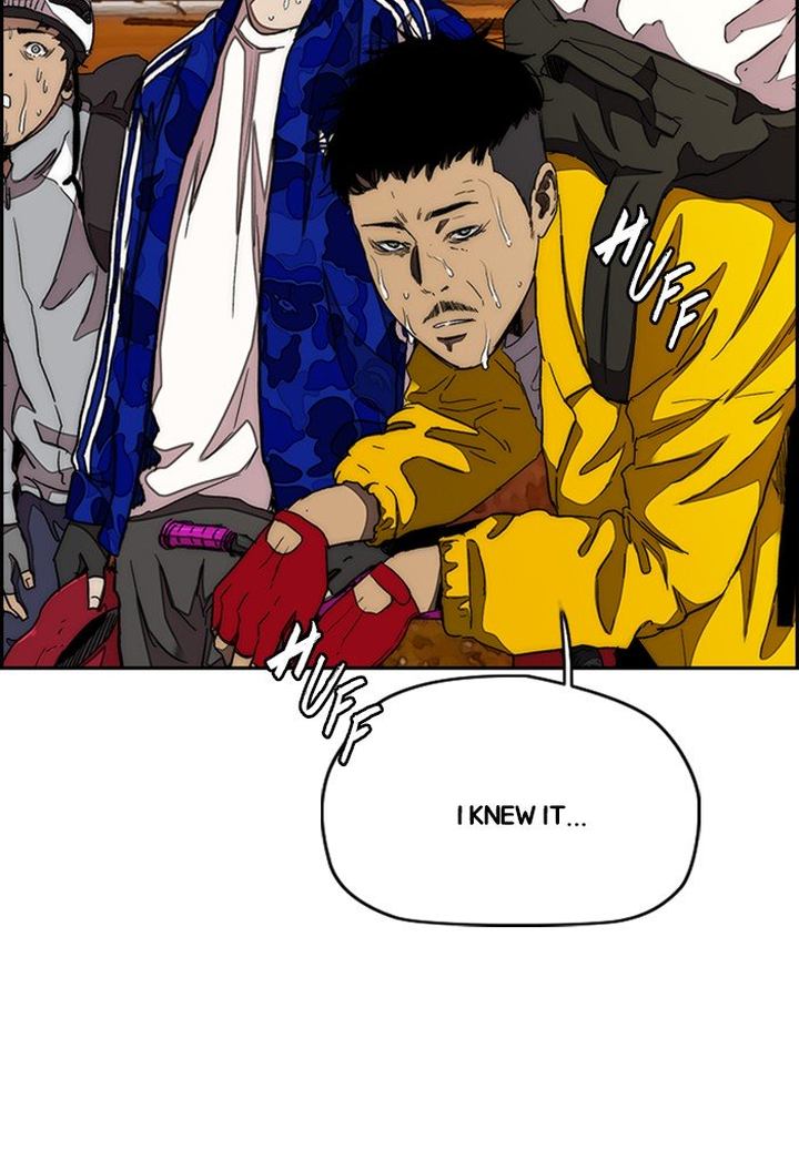 Wind Breaker 291 93