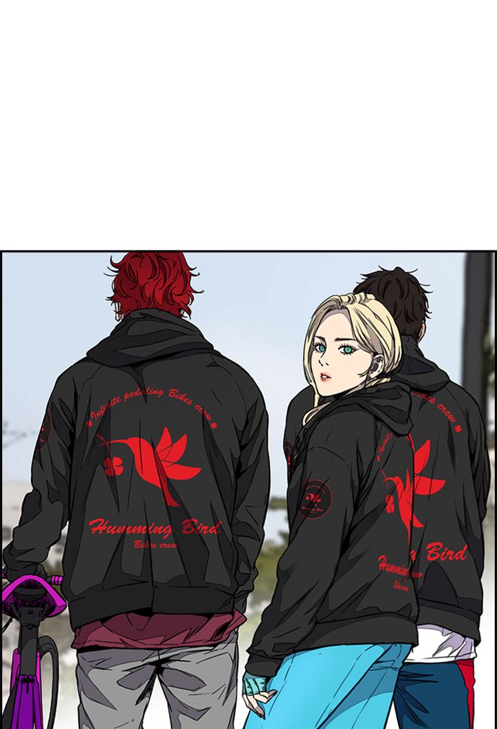 Wind Breaker 310 3
