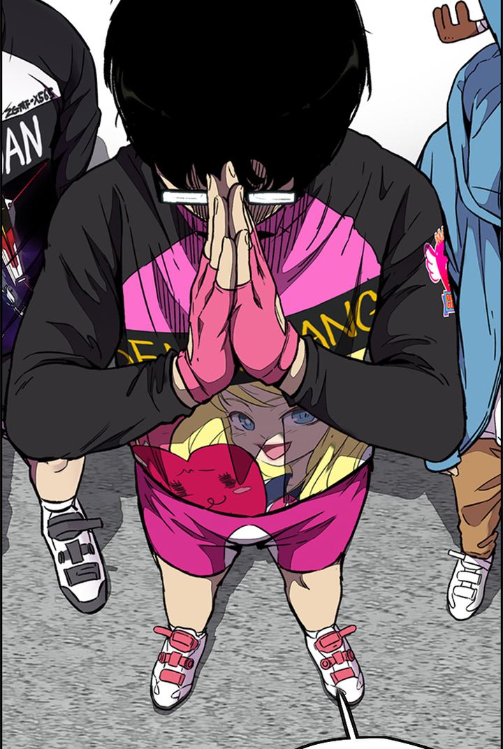 Wind Breaker 310 35