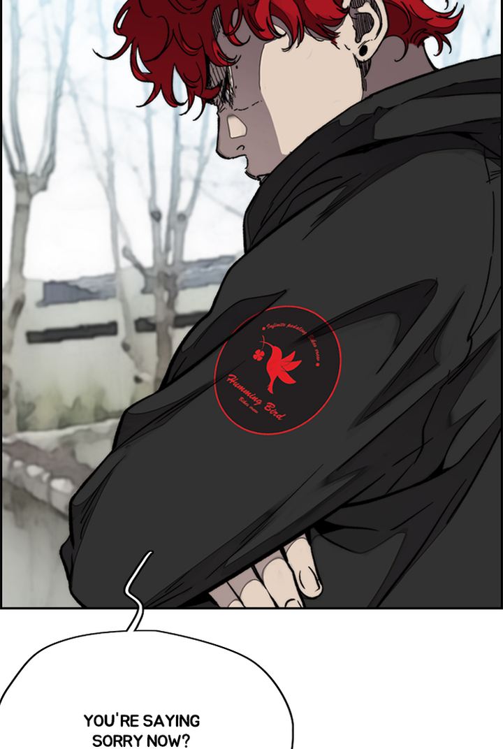 Wind Breaker 310 52