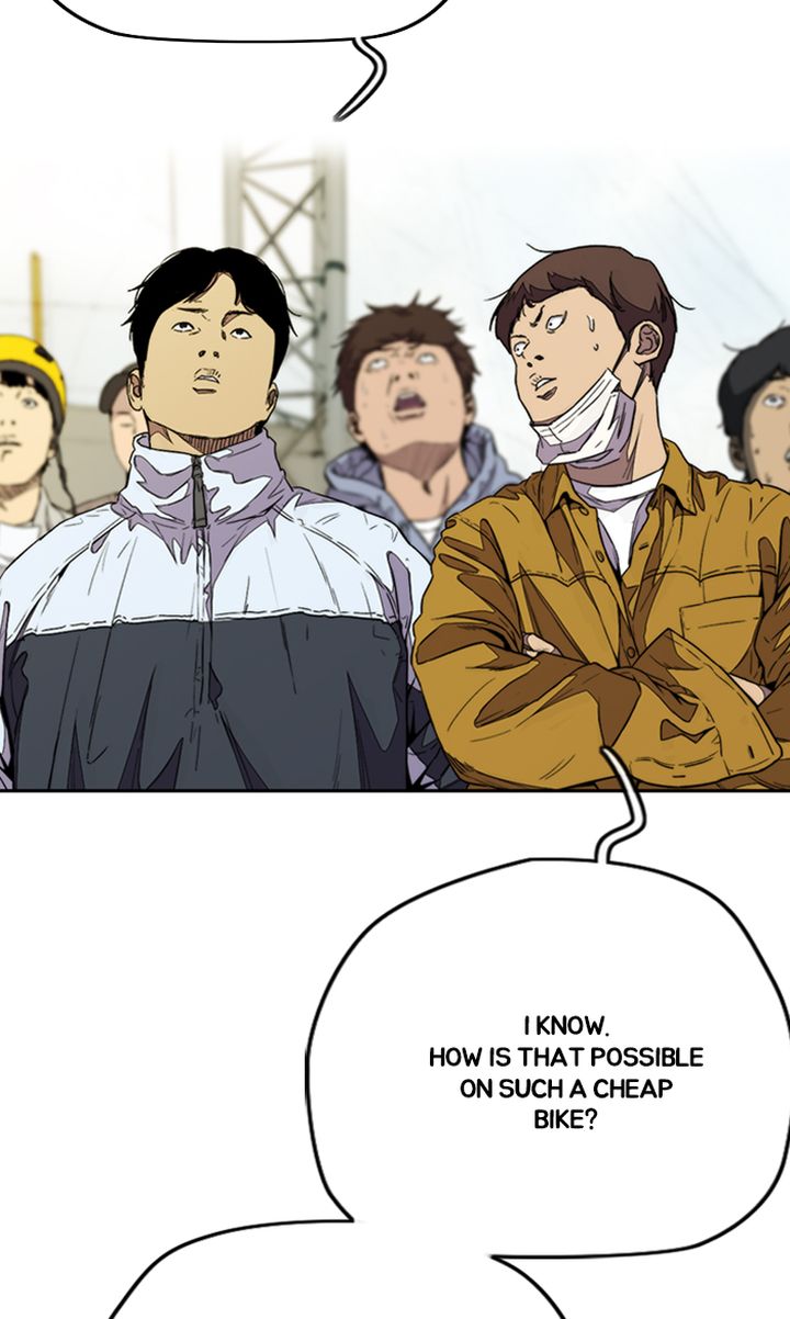 Wind Breaker 324 50
