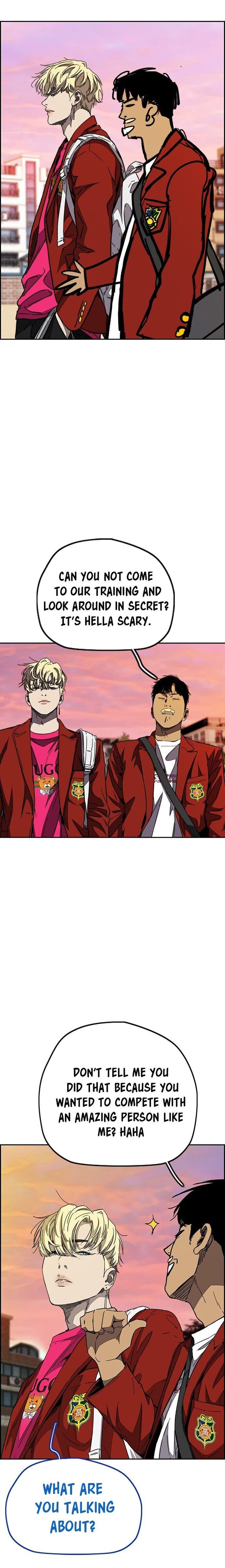 Wind Breaker 360 30