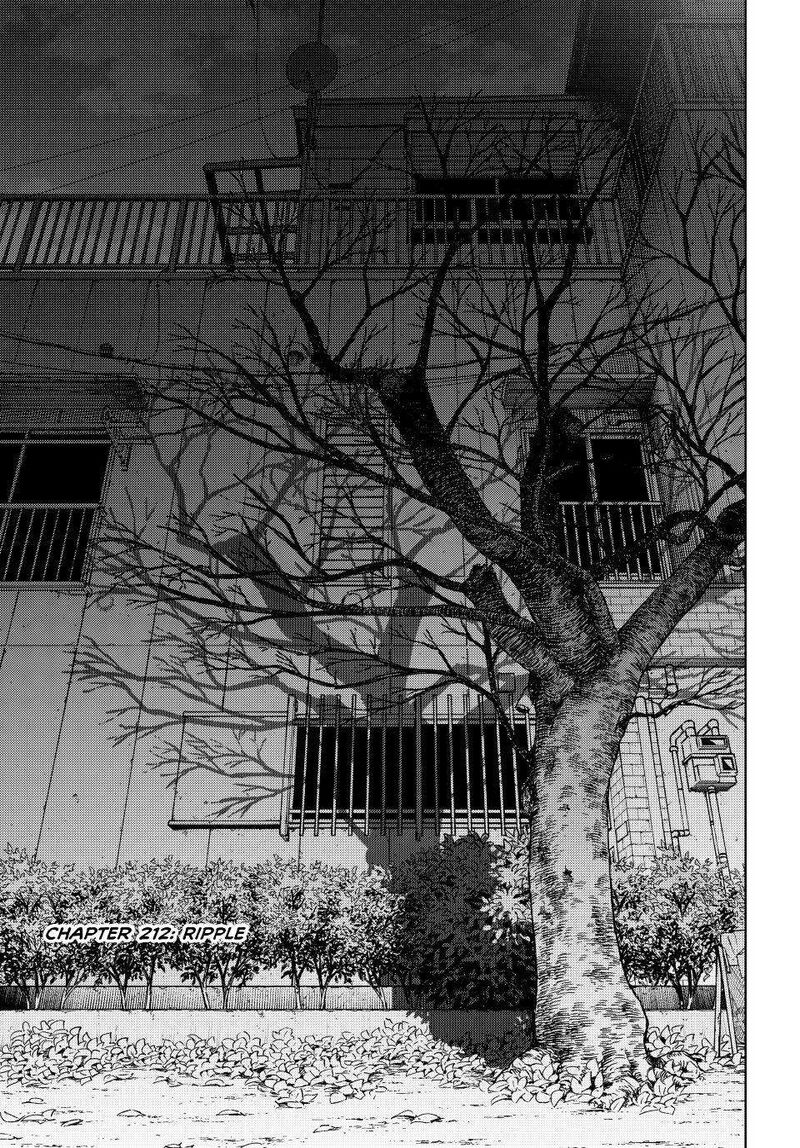 Wind Breaker Japan 212 3