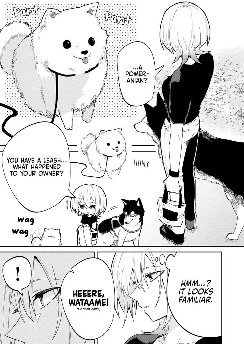 Wolf Chan Wa Sumashitai 16 3
