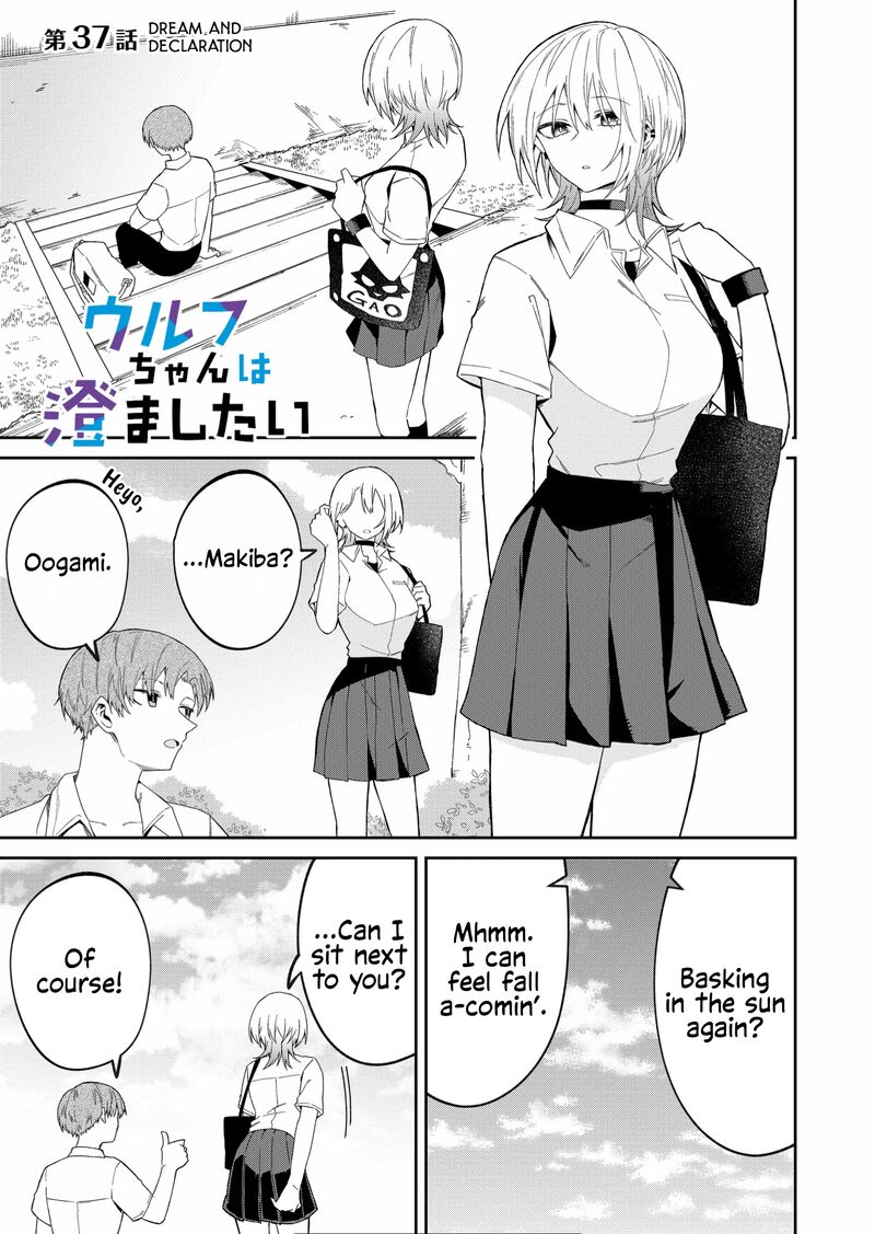 Wolf Chan Wa Sumashitai 37 1