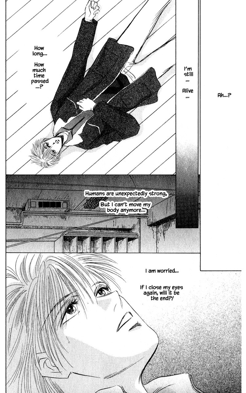 Yakumo Tatsu 41a 18