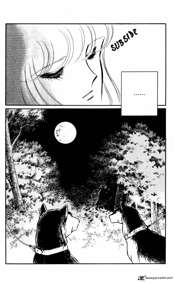 Yami No Purple Eye 14 19
