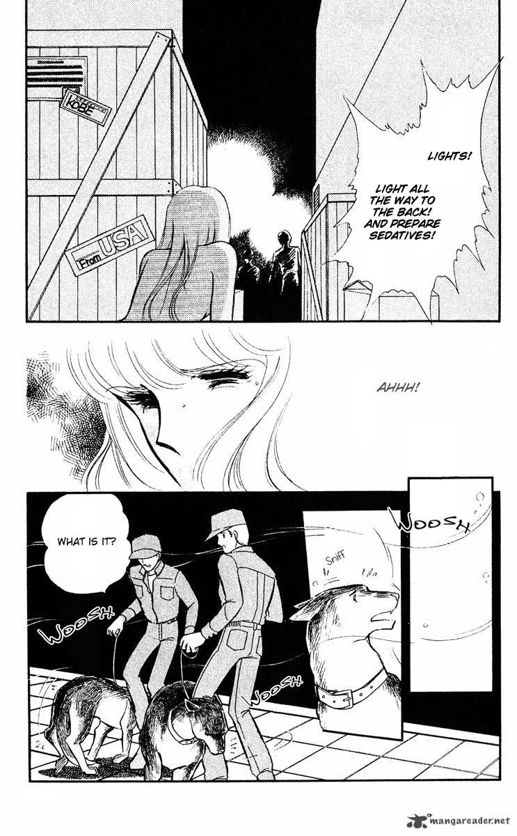 Yami No Purple Eye 14 6