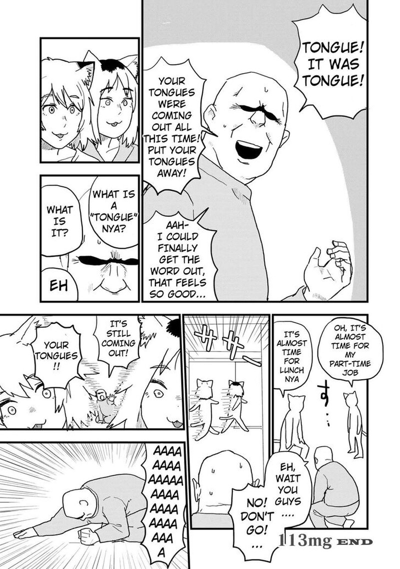 Yani Neko 113 5