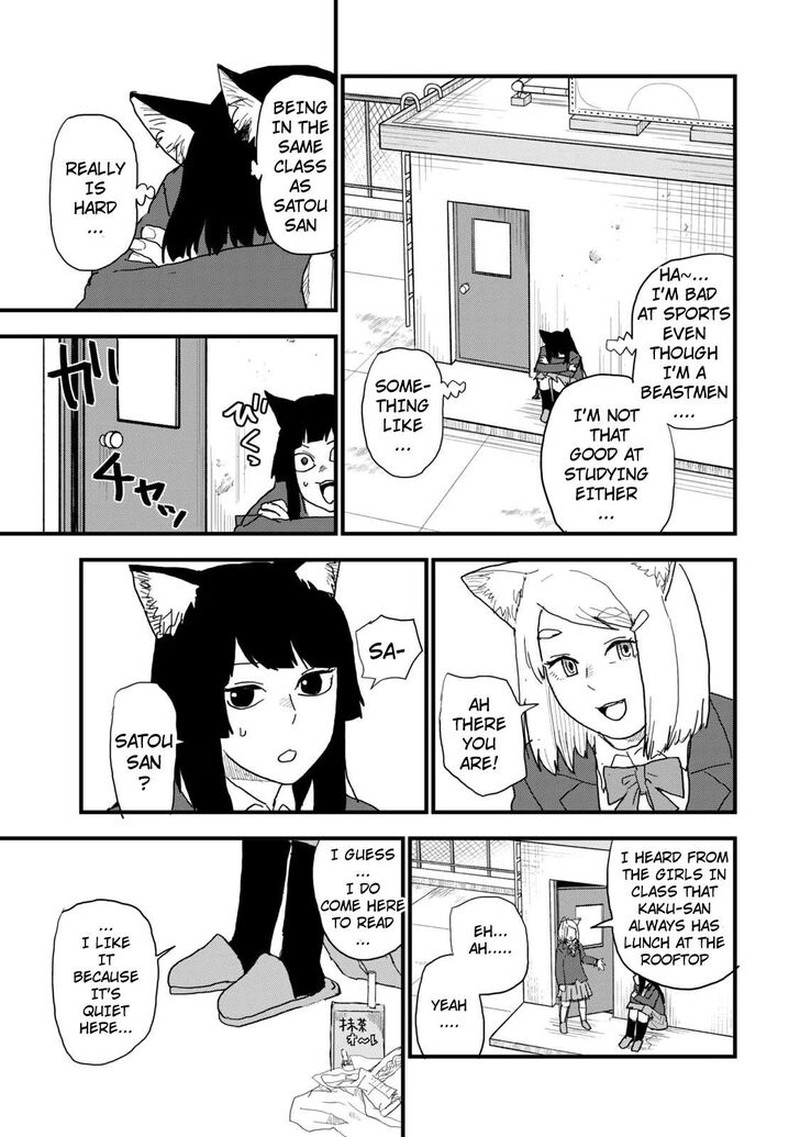 Yani Neko 118 3