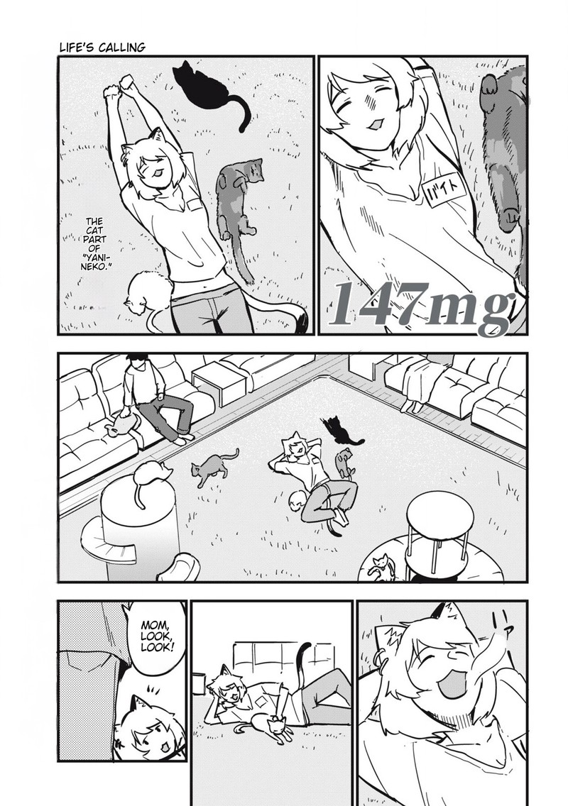 Yani Neko 147 1