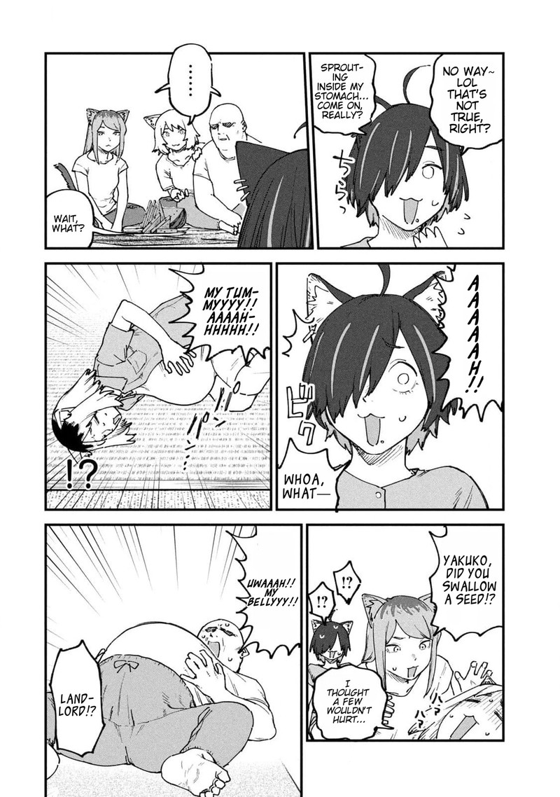 Yani Neko 184 6
