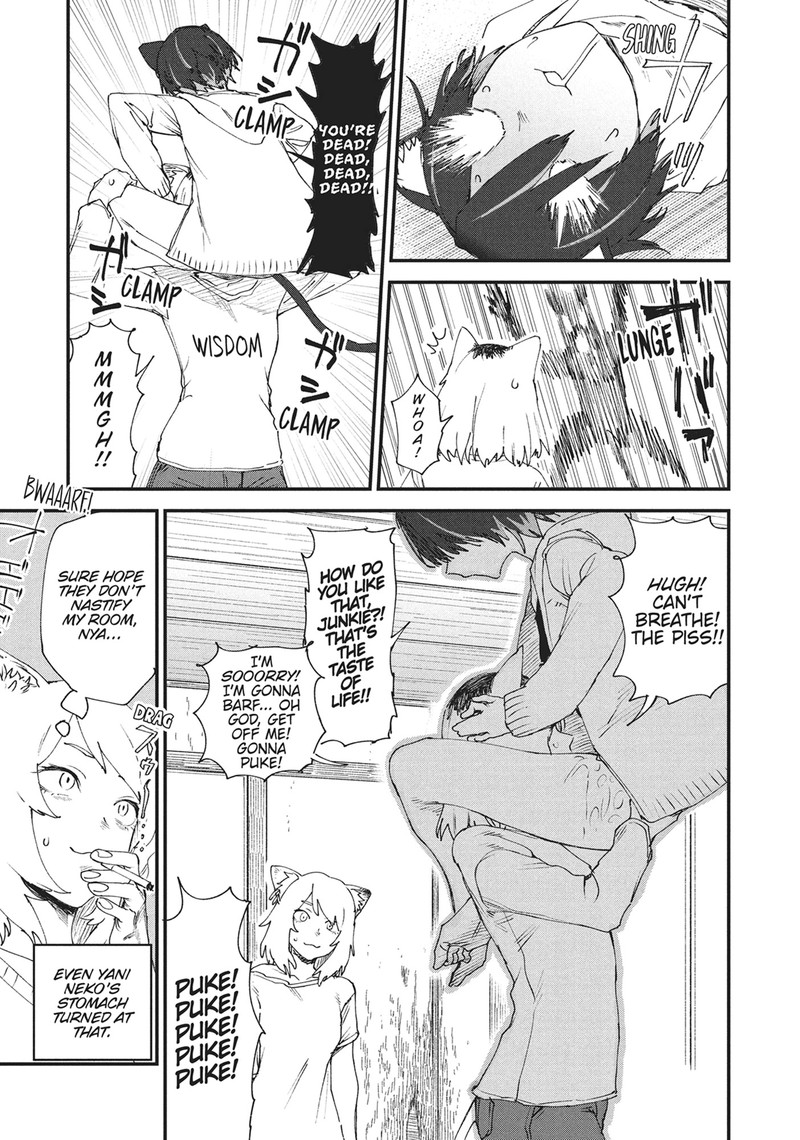 Yani Neko 22 3