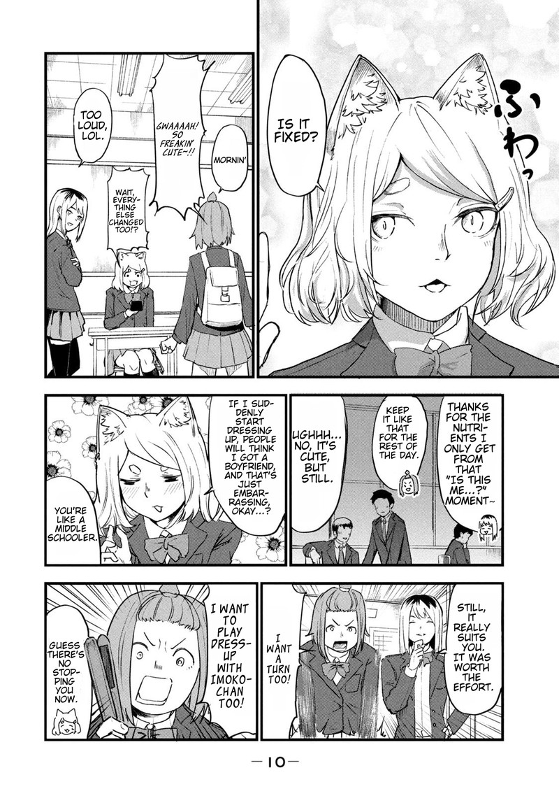 Yani Neko 220 2