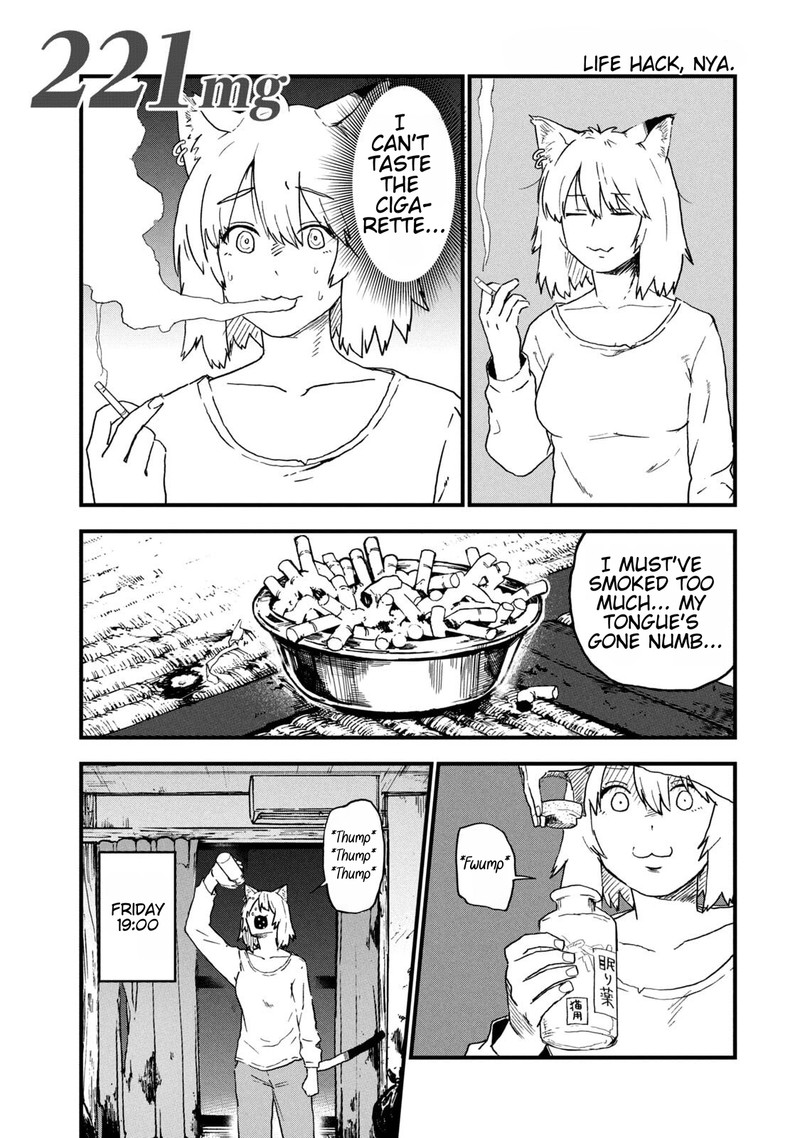 Yani Neko 221 1