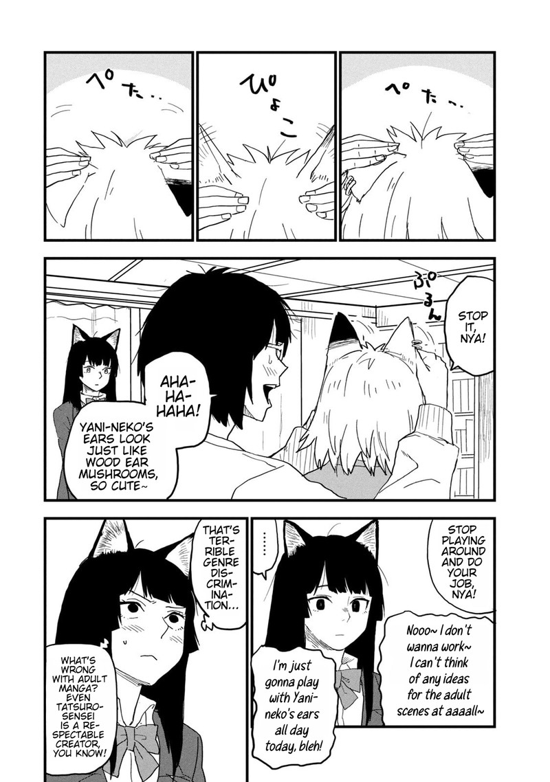 Yani Neko 238 2
