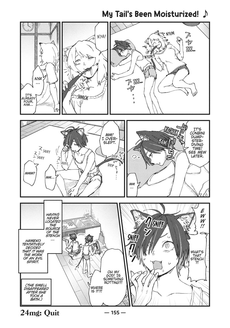 Yani Neko 24 3