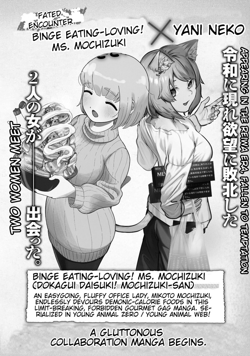Yani Neko 244a 1