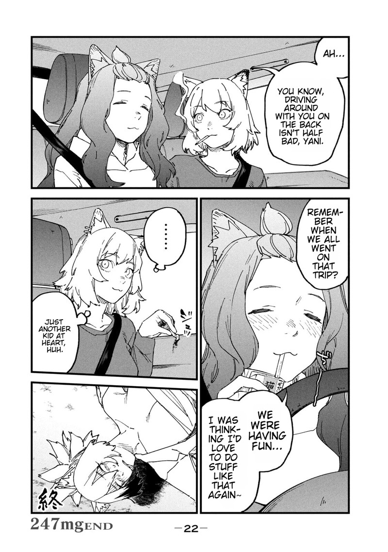 Yani Neko 247 4